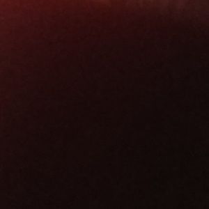 Meet your Posher, Steve